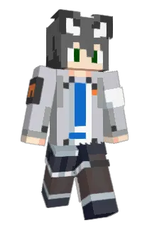 AonGreyFox Minecraft avatar full body