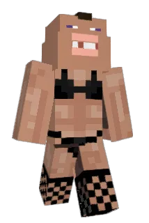 Aond Minecraft avatar full body