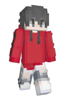 ApTypKa Minecraft avatar full body