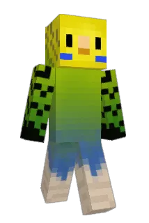 Apeor Minecraft avatar full body