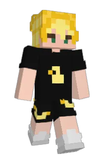 Api242_ Minecraft avatar full body