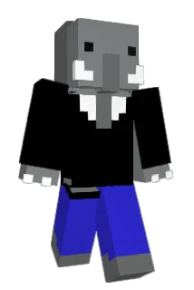 Apica Minecraft avatar full body