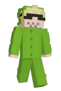 Apile_ Minecraft avatar full body