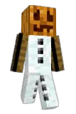 Apollo1102 Minecraft avatar full body