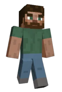 Apreciate Minecraft avatar full body