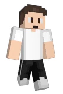 Apx_Bear Minecraft avatar full body