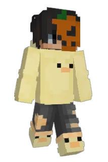 AqaTomi Minecraft avatar full body