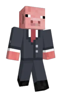 Aqept Minecraft avatar full body