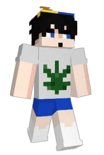ArTed_ Minecraft avatar full body