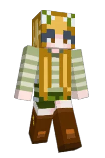 AraLarit Minecraft avatar full body