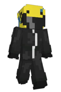 Araanxii Minecraft avatar full body