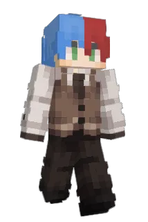 Aracnedix Minecraft avatar full body