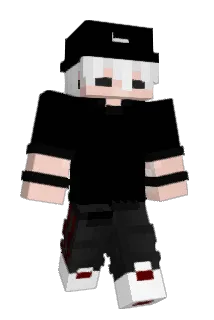 Arad009 Minecraft avatar full body