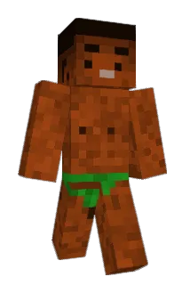 Arashi_0 Minecraft avatar full body