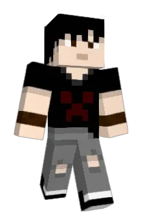 Arawneer Minecraft avatar full body