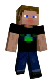 Araymm Minecraft avatar full body