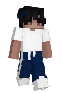 Arcology Minecraft avatar full body