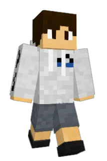 Arctani Minecraft avatar full body