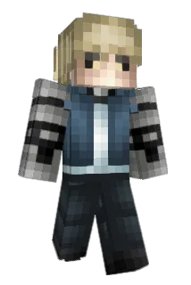 Arcticaphobia Minecraft avatar full body