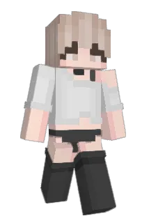 Arcturussssssss Minecraft avatar full body