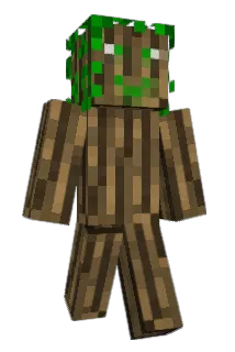 ArdRuinn Minecraft avatar full body