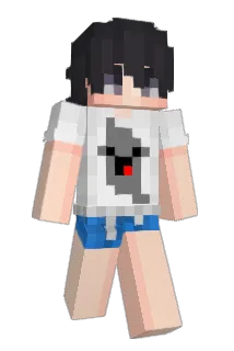 Ardolf_1337 Minecraft avatar full body