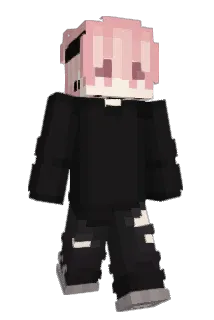Ardwyn Minecraft avatar full body