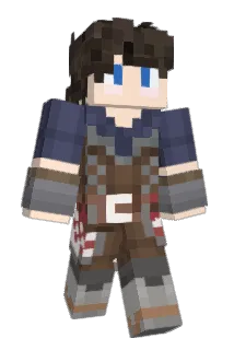 Aredin Minecraft avatar full body