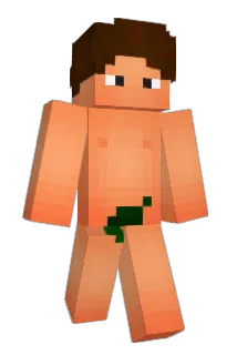 Areebomama Minecraft avatar full body