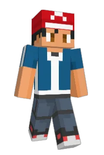 Ari019 Minecraft avatar full body