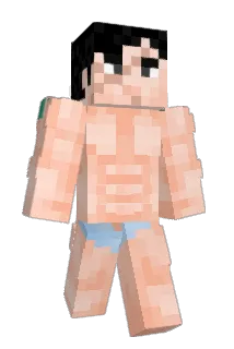 AriTurtle Minecraft avatar full body