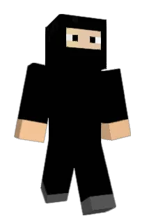 Ari_N Minecraft avatar full body