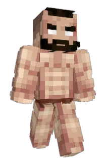 Arielis Minecraft avatar full body