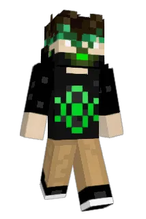 Aringreyy Minecraft avatar full body