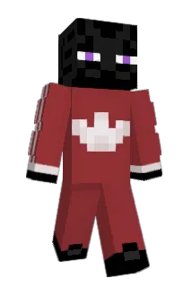 Arko40 Minecraft avatar full body