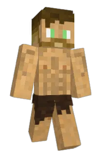 Arlightt Minecraft avatar full body