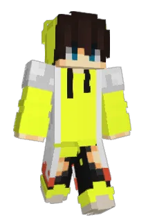 Arminkoooo Minecraft avatar full body
