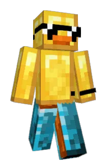 Arne1000000 Minecraft avatar full body