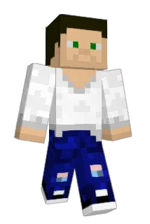 Arny105 Minecraft avatar full body