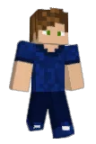 AronaDal Minecraft avatar full body