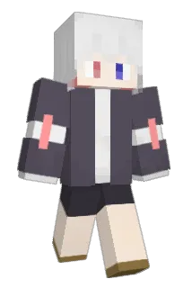 Aronnn06 Minecraft avatar full body