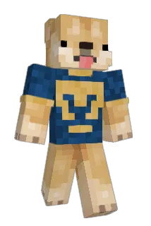 Aroon856 Minecraft avatar full body