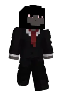 ArretCardiaque Minecraft avatar full body