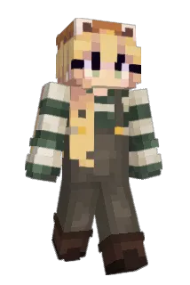 Artycoco Minecraft avatar full body
