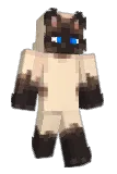 Arxctics Minecraft avatar full body