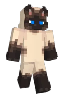 Arxctics Minecraft avatar full body