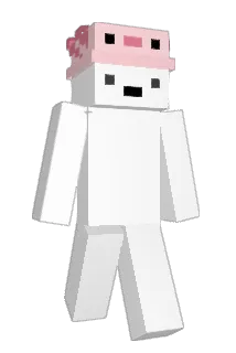 Arxujoo Minecraft avatar full body
