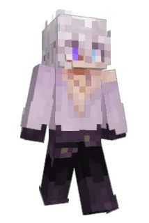 As1er Minecraft avatar full body