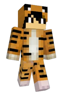As7d Minecraft avatar full body