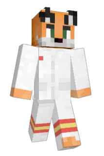 AshFMF Minecraft avatar full body